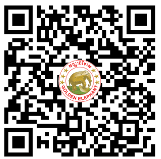 Messenger QR